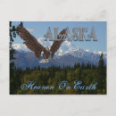 Pesquisar por monte mckinley cartoes postais Parque nacional denali