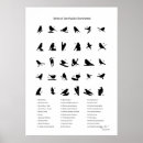 Pesquisar por numerados pôsteres pósteres Números