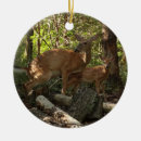Pesquisar por mãe natureza ornamentos Vida selvagem