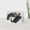 Pesquisar por dois há gatos cartoes Qualquer pessoa