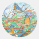 Pesquisar por fruta de árvore adesivos Natureza