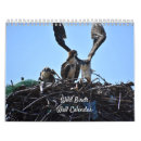 Pesquisar por pomba calendarios Fotografia