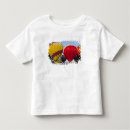 Pesquisar por festival azul camisetas Balão