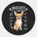 Pesquisar por chihuahua adesivos Animal de estimação
