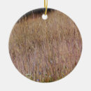 Pesquisar por grama de grama ornamentos Qualquer pessoa