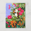 Pesquisar por 1873 cartoes postais Flores