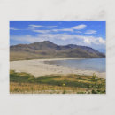 Pesquisar por plantas da lagoa cartoes postais Horizontal