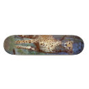 Pesquisar por chita skates Gato