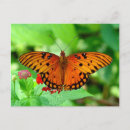 Pesquisar por arte da borboleta cartoes postais Vida selvagem