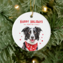 Pesquisar por border collie ornamentos Collie de fronteira