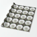 Pesquisar por dentes papel papel de presente Branco
