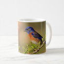 Pesquisar por bluebird canecas Fotografia