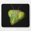 Pesquisar por louva deus eletronicos Macro