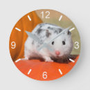 Pesquisar por um hamster artes pósteres Engraçado