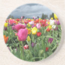 Pesquisar por tulipas bonitas porta copos Primavera