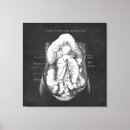 Pesquisar por digestivo impressão de canvas Anatomia
