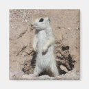 Pesquisar por guarda florestal Animal