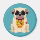 Pesquisar por funny dog imas Para todos