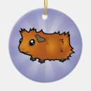 Pesquisar por ursinho bonito ornamentos Para ela