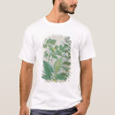 Pesquisar por planta medicinal camisetas Robinet