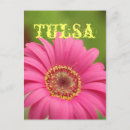 Pesquisar por cumprimento da margarida Gerbera