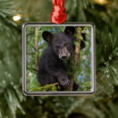 Pesquisar por urso de ursinho ornamentos Ursinhos