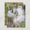 Pesquisar por álbuns páginas Natureza