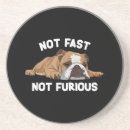 Pesquisar por buldogue inglês porta copos Engraçado