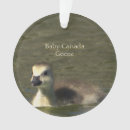 Pesquisar por canada ornamentos Fotografia