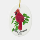 Pesquisar por cardinal ornamentos Aquarela