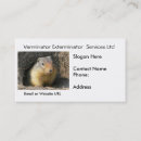 Pesquisar por roedores cartao de visita Elimine