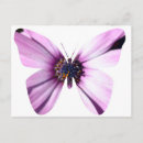 Pesquisar por borboletas roxas cartoes postais Roxo