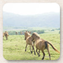 Pesquisar por imagens do cavalo porta copos Imagens dos cavalos