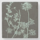 Pesquisar por estudo porta copos Botânico