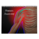 Pesquisar por humana calendarios Esqueleto