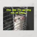 Pesquisar por hamster cartoes postais Roedor
