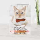 Pesquisar por bolo aniversário engraçado Bobo