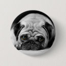 Pesquisar por pug botons Animais de estimação