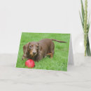 Pesquisar por cute dachshund cartoes Dog