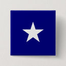 Pesquisar por estados botons Sul