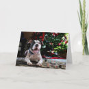 Pesquisar por bull terrier cartoes Puppy