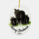 Pesquisar por mãe natureza ornamentos Urso