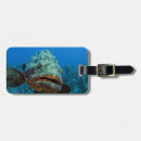 Pesquisar por oceano atlântico bagagem tags Caribe