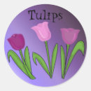 Pesquisar por tulipas roxas adesivos Flores