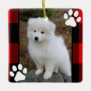 Pesquisar por pet memorial ornamentos Foto