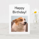 Pesquisar por do corgi cartoes Para ele