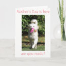 Pesquisar por desejos do dia das mães cartoes Fotografia