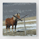 Pesquisar por belga de relogios de parede Cavalo de arado