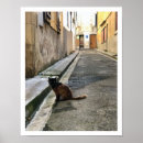 Pesquisar por gato francês pósteres Felino