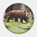 Pesquisar por da panda imas Para todos